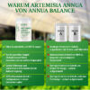 PiCA-Prüfbericht: laborgeprüfter Artemisinin-Gehalt des AnnuaBalance Artemisia-annua-Extrakts, gemessen per LC-MS/MS durch das DAkkS-akkreditierte Prüflabor